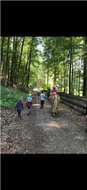Veranstaltungsbild Pferdespaziergang